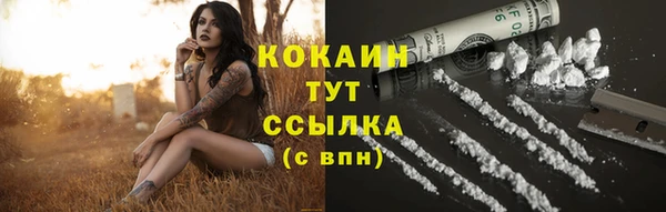 ПСИЛОЦИБИНОВЫЕ ГРИБЫ Новокубанск