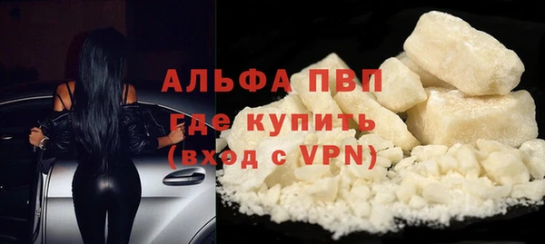 ПСИЛОЦИБИНОВЫЕ ГРИБЫ Новокубанск