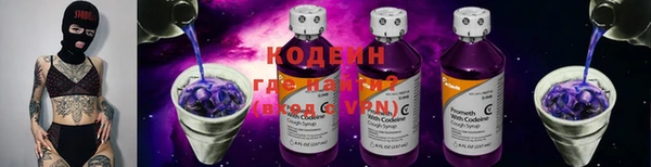 дмт Новодвинск
