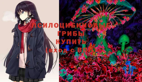 СК Алексин