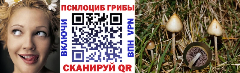 продажа наркотиков  blacksprut маркетплейс  Галлюциногенные грибы Psilocybe  Алупка 